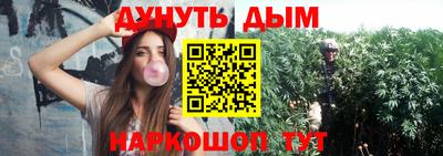 ПСИЛОЦИБИНОВЫЕ ГРИБЫ Коммунар