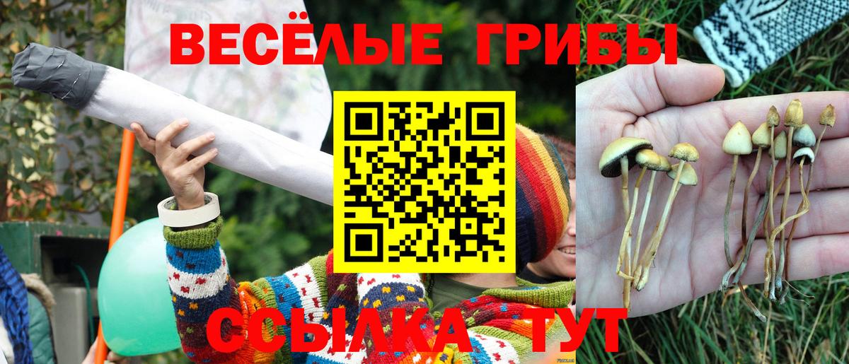 Карталы  Псилоцибиновые грибы GOLDEN TEACHER  Псилоцибиновые грибы ЛСД  Вход с VPN 